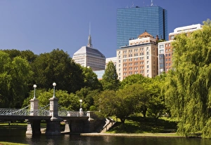 Public Garden Prints: Lagoon Bridge in the Public Garden