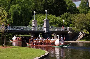 Images Dated 10th January 2000: Lagoon Bridge and Swan Boat in the Public Garden
