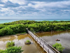 Azure Prints: Lagoon Observation Deck at Punta Sur, Cozumel Island, Quintana Roo State, Mexico