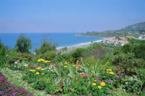Images Dated 28th August 2008: Laguna Beach