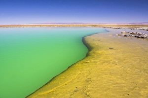 North Chile Prints: Laguna Cejar (floating salt lake lagoon), Atacama Desert, North Chile, Chile, South