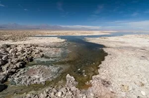 Images Dated 18th June 2010: Laguna Chaxa, Salar de Atacama, Atacama Desert, Chile, South America