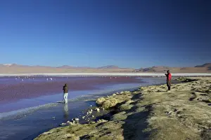 Salt Lake Prints: Laguna Colorada (Red Lagoon), salt lake in the southwest of the Altiplano of Bolivia