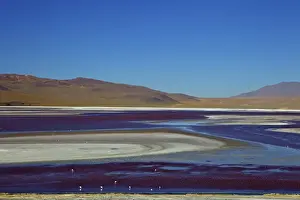 Laguna Colorada (Red Lagoon), a shallow salt lake in the southwest of the altiplano, Eduardo Avaroa Andean Fauna National Reserve, Bolivia, South America