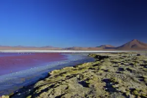 Salt Lake Prints: Laguna Colorada (Red Lagoon), a shallow salt lake in the southwest of the altiplano