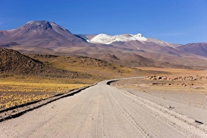 Images Dated 24th March 2008: Laguna Miscanti at an altitude of 4300m and the peak of Cerro Miniques at 5910m