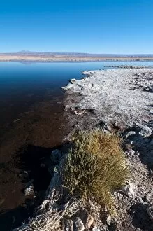 Images Dated 17th June 2010: Laguna Tebenquiche, Salar de Atacama, Atacama Desert, Chile, South America