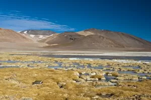 Images Dated 18th June 2010: Laguna Tuyajto, Atacama Desert, Chile, South America