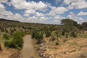 Images Dated 5th December 2009: Laikipia, Kenya, East Africa, Africa