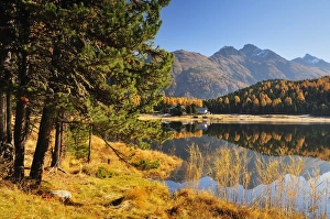 Images Dated 20th October 2008: Laj da Staz, St. Moritz, Switzerland, Europe