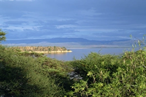Lake Baringo