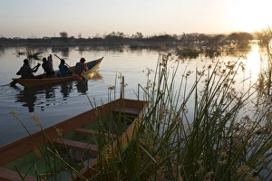 Rowing Prints: Lake Baringo, Rift Valley, Kenya, East Africa