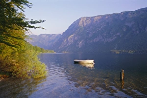 Slovakian Prints: Lake Bohinj