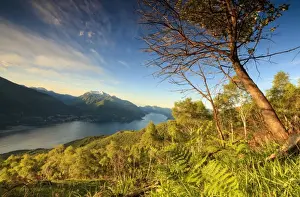 Lake Como Prints: Lake Como surrounded by green meadows framed by the first lights of dawn, Cremia