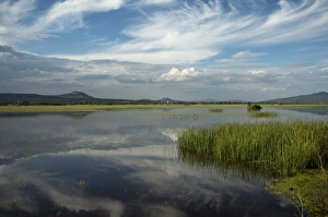 Lake Cuitzeo, Michoacan, Mexico, North America