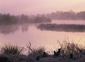 Lake on a frosty autumn morning with mist rising from Colebrook Lake South in Moor Green Lakes Nature Reserve, Finchamstead, Berkshire, England, United Lake on a frosty autumn morning with mist rising from Colebrook Lake South in Moor Green Lakes Nature Reserve, Finchamstead, Berkshire, England, United