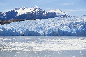 Thawing Prints: Lake Gray Glacier, Torres del Paine National Park, Patagonia, Chile, South America