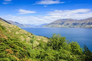 Haast Pass Prints: Lake Hawea, Hst Pass, South Island, New Zealand, Pacific