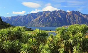 Zealand Prints: Lake Hawea, near Queenstown, South Island, New Zealand