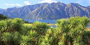Zealand Prints: Lake Hawea, near Queenstown, South Island, New Zealand