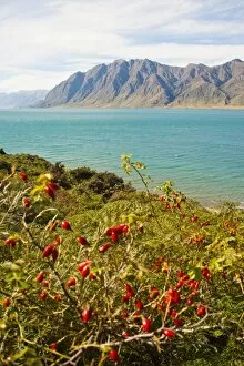 Images Dated 10th April 2011: Lake Hawea, Southern Alps Mountain Range, West Coast, South Island, New Zealand, Pacific