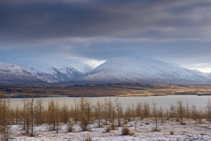Images Dated 28th October 2008: Lake Lagarfljot (Logurinn), near Egilsstadir, Fljotdalsherad valley, East Fjords area