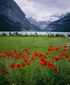 Lake Louise, Banff National Park, UNESCO World Heritage Site, Rocky Mountains