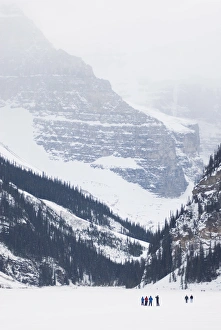 Images Dated 24th February 2008: Lake Louise, Banff National Park, UNESCO World Heritage Site, Rocky Mountains
