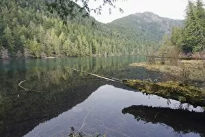 Images Dated 20th April 2009: A lake at MacMillan Provincial Park, Vancouver Island, British Columbia