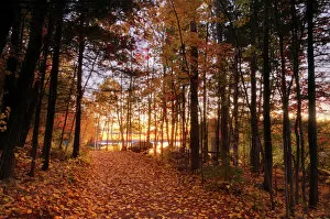 Autumn Gallery: Lake Millinocket at sunrise, Baxter State Park, Maine, New England, United States of America