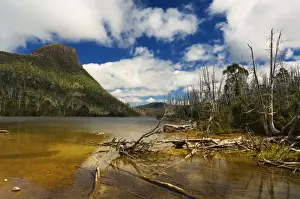Descend Prints: Lake Myrtle and Mt. Rogoona, Walls of Jerusalem National Park, Tasmania