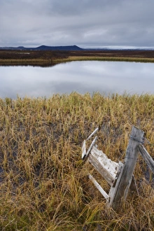 Images Dated 13th October 2008: Lake Myvatn, bird protected area in autumn, north-west shore of lake, looking eastwards