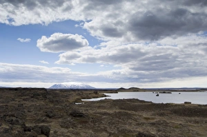 Images Dated 14th November 2007: Lake Myvatn, Iceland, Polar Regions