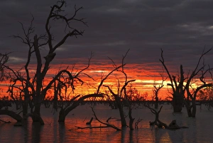 Lake Pamamaroo, Menindee, New South Wales, Australia, Pacific