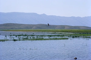 Lake Paresham