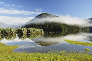 Bushes Prints: Lake Paringa, West Coast, South Island, New Zealand, Pacific