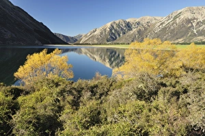 Images Dated 19th April 2010: Lake Pearson, Canterbury high country, South Island, New Zealand, Pacific