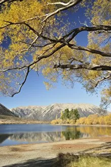 Images Dated 19th April 2010: Lake Pearson, Canterbury high country, South Island, New Zealand, Pacific