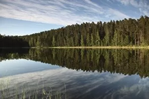 Images Dated 22nd June 2009: Lake Pihlajavesi, Punkaharju Nature Reserve, Saimaa Lake District, Savonia