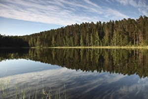 Images Dated 22nd June 2009: Lake Pihlajavesi, Punkaharju Nature Reserve, Saimaa Lake District, Savonia
