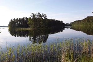 Images Dated 23rd June 2009: Lake Pihlajavesi, Punkaharju Nature Reserve, Saimaa Lake District, Savonia