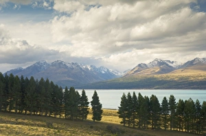 Pukaki Prints: Lake Pukaki and Gammack Range in the Southern Alps