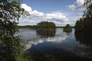 Images Dated 21st June 2009: Lake Puruvesi, Punkaharju Nature Reserve, Saimaa Lake District, Savonia