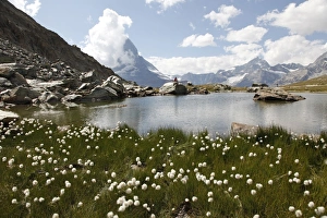 Lake Riffelsee Prints: Lake Riffelsee and the Matterhorn, Zermatt, Valais, Swiss Alps, Switzerland, Europe