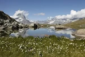 Images Dated 27th August 2009: Lake Riffelsee and the Matterhorn, Zermatt, Valais, Swiss Alps, Switzerland, Europe
