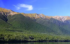 Zealand Prints: Lake Rotoiti, South Island, New Zealand
