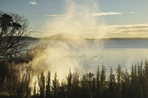 Lake Rotorua, Rotorua, Bay of Plenty, North Island, New Zealand, Pacific