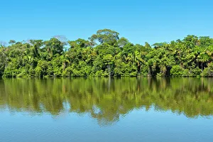 Outdoor Exploration Prints: Lake Sandoval, Tambopata National Reserve