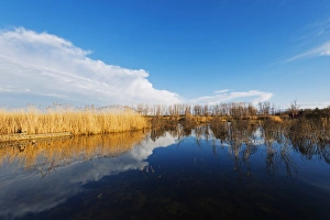 Lake Sevan, Gegharkunik province, Armenia, Caucasus, Central Asia, Asia