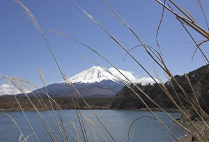 Volcanoe Prints: Lake Shoji